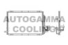 AUTOGAMMA 105081 Condenser, air conditioning